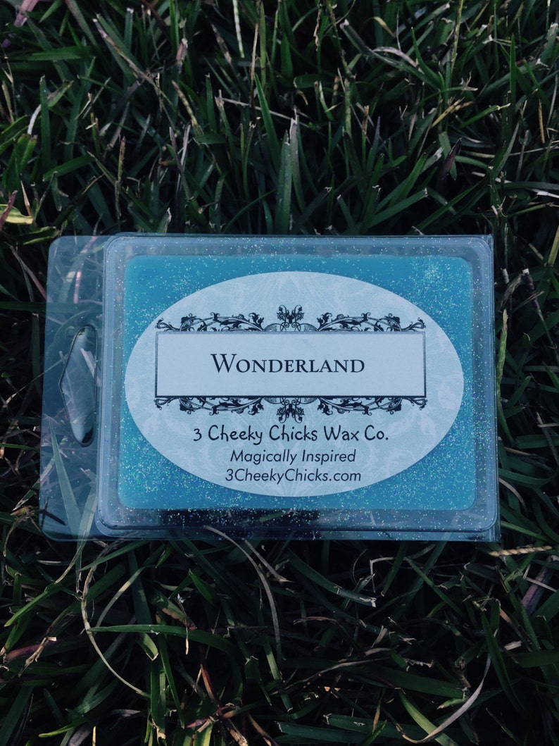 Wonderland Wax Melts Home fragrance Disney Scents Disney Inspired