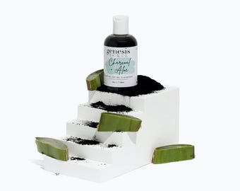 Aloe & Charcoal Detoxifying Facial Cleanser | Acne Cleanser | Liquid Charcoal Soap | Clear Skin | Acne Soap