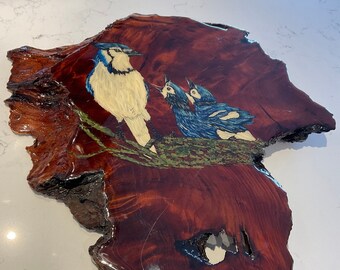 VTG Cedar wood board hand painted Blue Jays wall hanging picture rustic cabin decor epoxy finish