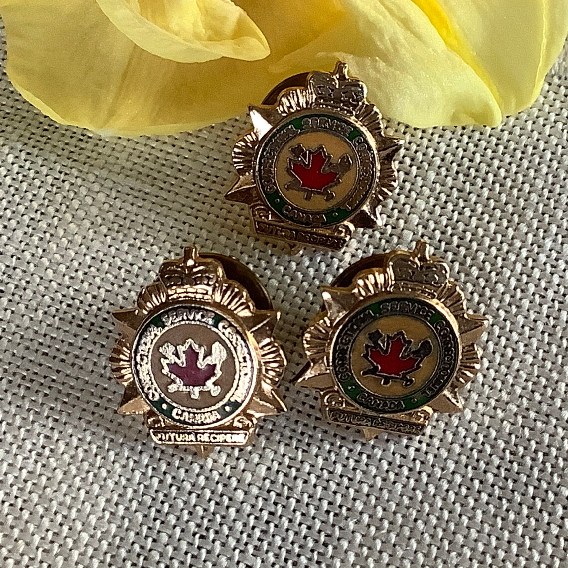 Canadian Correctional Service Lapel Pin Hat Cap Uniform Lap Etsy Canada