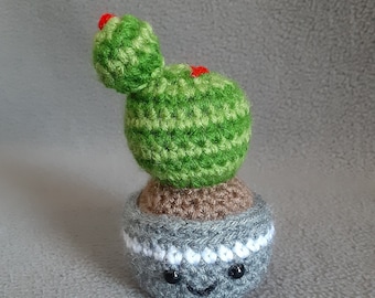 Mini Ball Cactus Buddy Crochet Stuffed Amigurumi Houseplant Plushie