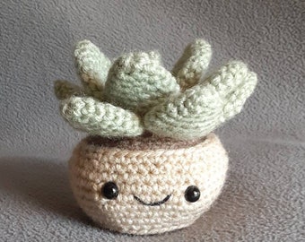 Houseplants & Cacti