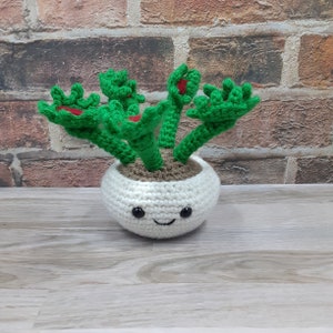 May include: A white crocheted planter with a smiling face, holding a green crocheted plant with red flowers.