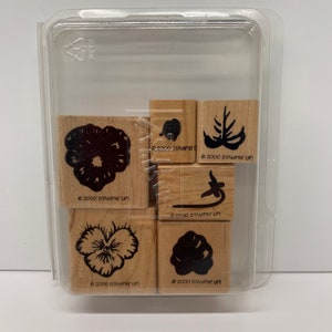 Lenteviooltje - Stampin' Up! - Op hout gemonteerde stempels - Stempelen in 2 stappen - Absoluut decoratief - Viooltje bloemen stengelbladeren - gepensioneerd