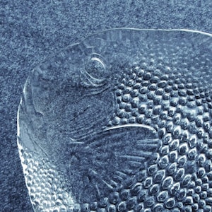 26.5 cm, 10.4&quot; glass plate fish / Arcoroc / France / vintage 1970s