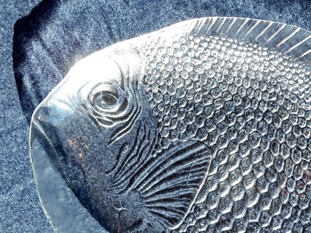40 Cm 15.5 Glass Plate Fish / Arcoroc / France / Etsy