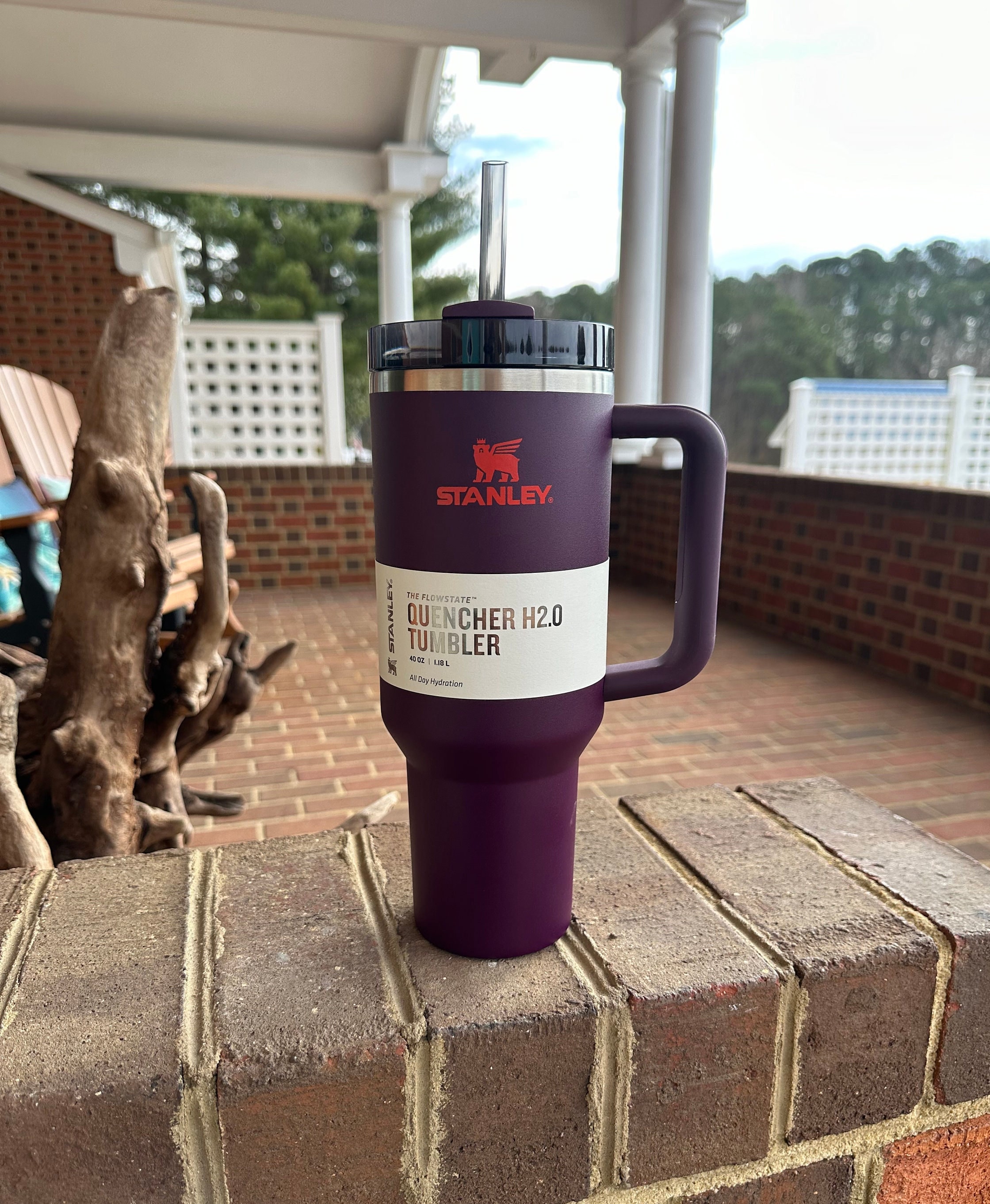 Stanley 40 oz. Quencher H2.0 PLUM FlowState Tumbler - Etsy 日本