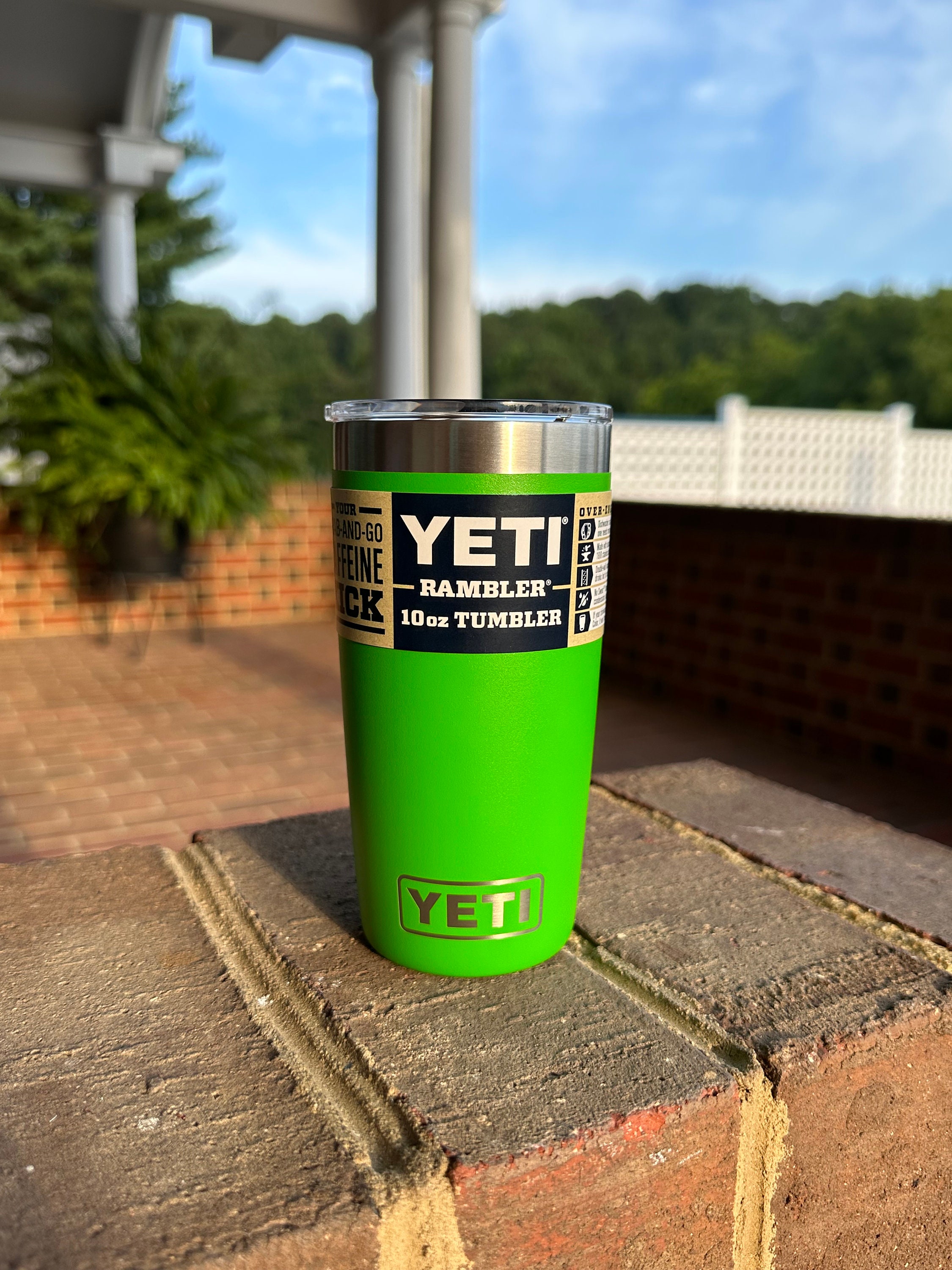 YETI Rambler 10 oz Tumbler, Stainless Steel, Vacuum Insulated  with MagSlider Lid, Canopy Green: Tumblers & Water Glasses