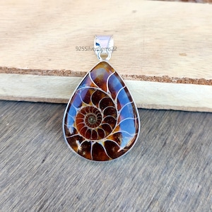 May include: A silver pendant featuring a brown ammonite fossil with a spiral pattern. The pendant is in the shape of a teardrop and has a silver bail.