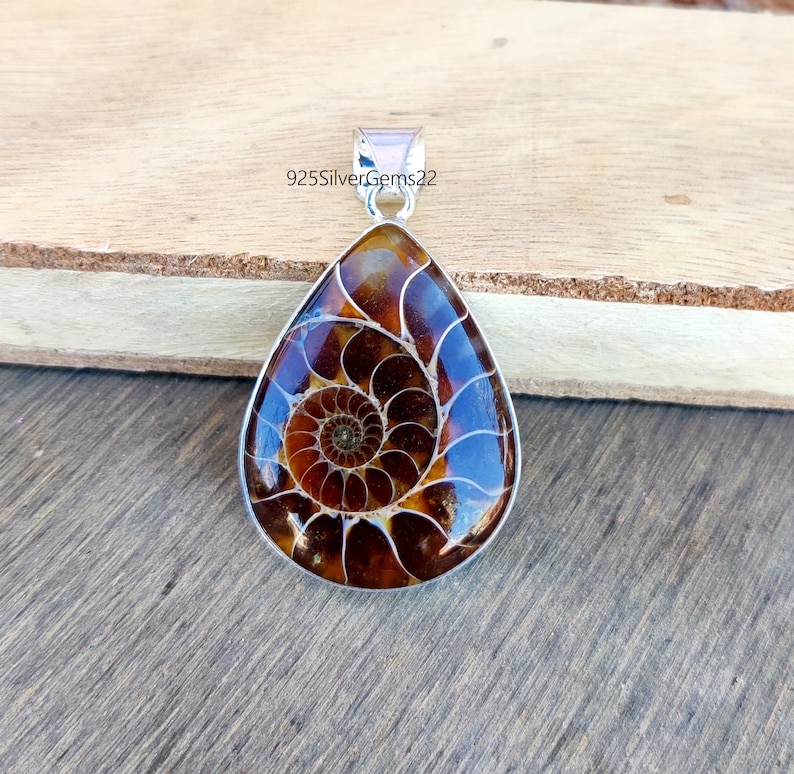 May include: A silver pendant featuring a brown ammonite fossil with a spiral pattern. The pendant is in the shape of a teardrop and has a silver bail.