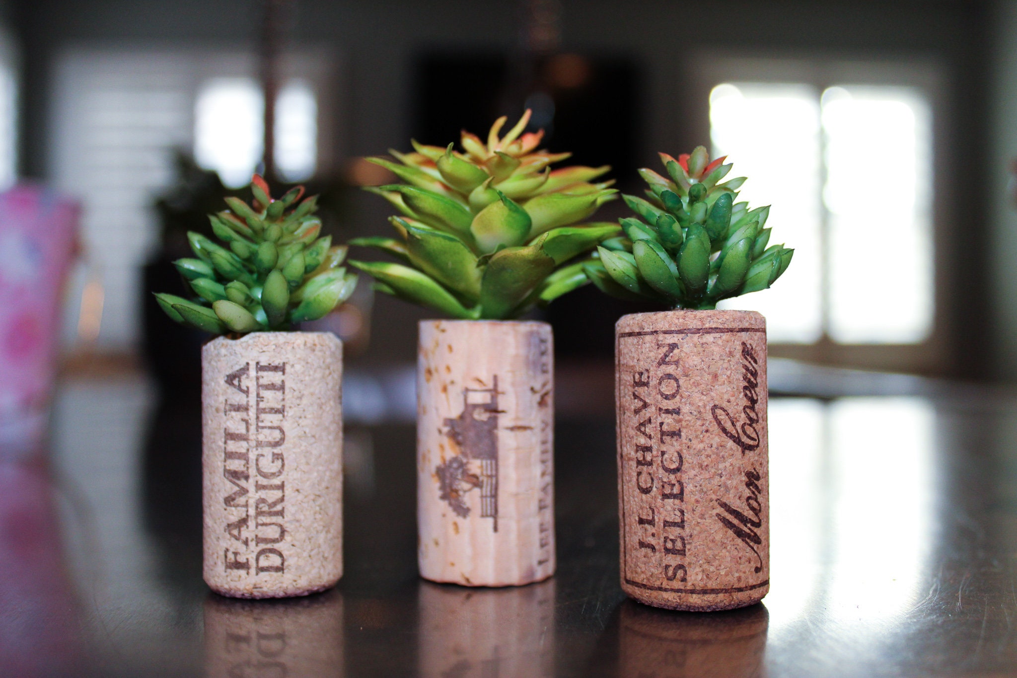 Faux Succulent Wine Cork Etsy