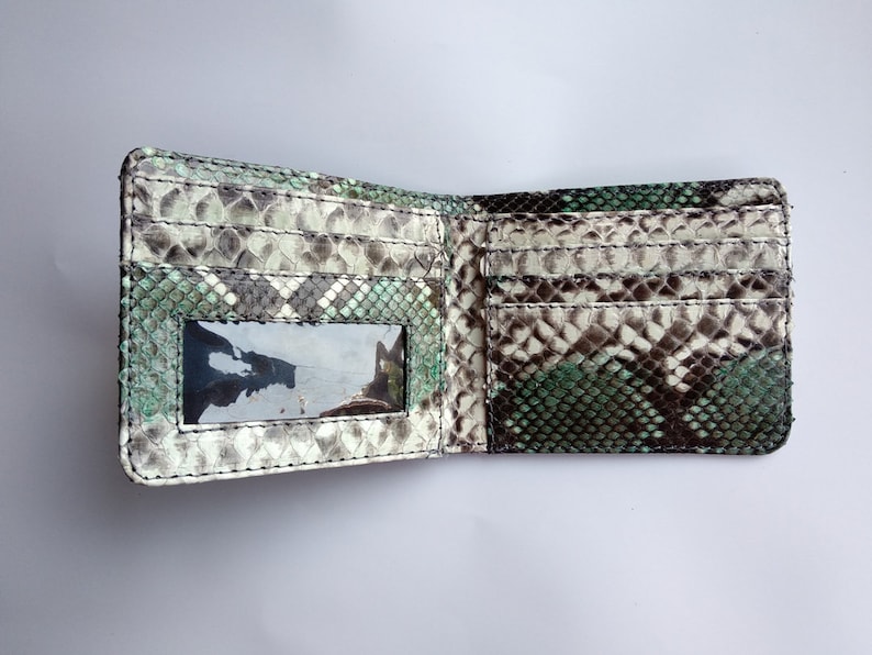 Op de afbeelding: Een portemonnee met twee vouwen gemaakt van groene en bruine slangenleer met een transparant plastic venster aan de voorkant.