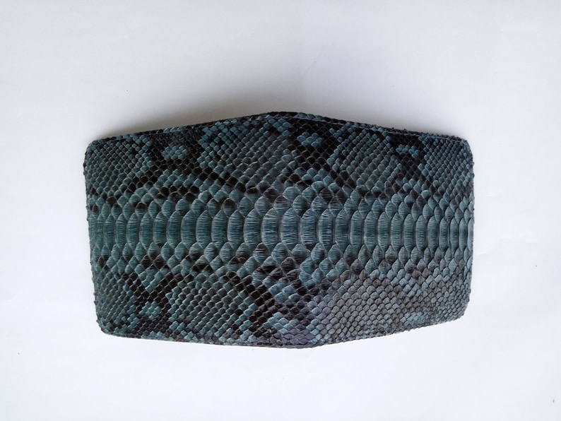 May include: A blue snakeskin wallet with a textured pattern.