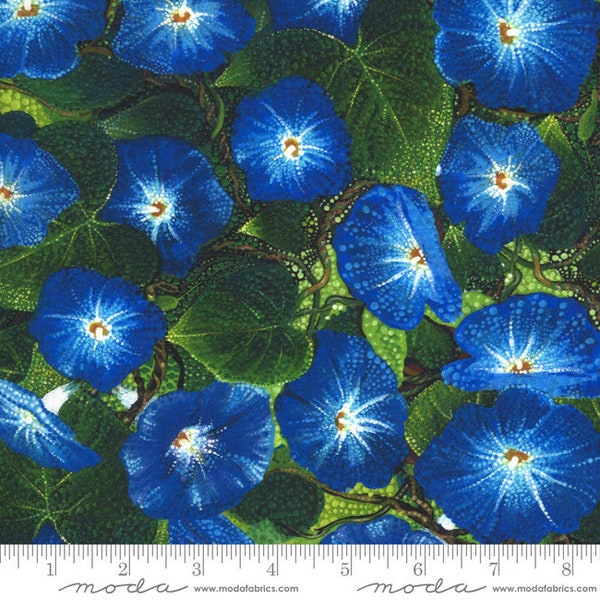 Dreamscapes  -  Moda Morning Glory Fabric by Ira Kennedy