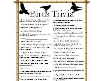 Fitness Trivia Etsy