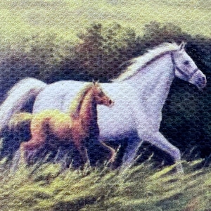 Dollhouse Miniature  Horse & Mare Painting 1 :12 Scale