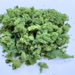 Scenery Medium Fine Loose Miniature Light Green  Foliage / Landscape
