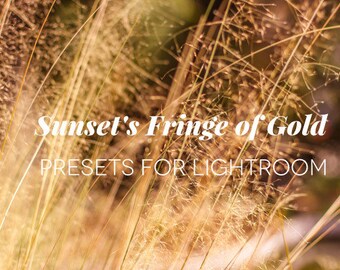 Natural Golden Hour Lightroom Preset Collection | Warm presets