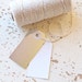 Parcel Tags Pk10 - Metallic Silver