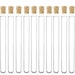 Optional Quantity - 20ml Plastic Test Tubes With Corks / Party Favours