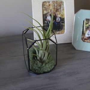 Stained Glass Terrarium Glass Container Air Plant Succulent Planter Rustic Table Centerpiece Boho Home Decor Candle Holder Christmas Gift