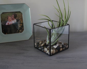 Square Terrarium Small Glass Cube Candle Holder Home Decor Succulent Planter Air Plant Holder Geometric Modern Rustic Decor Indoor Pot Gift