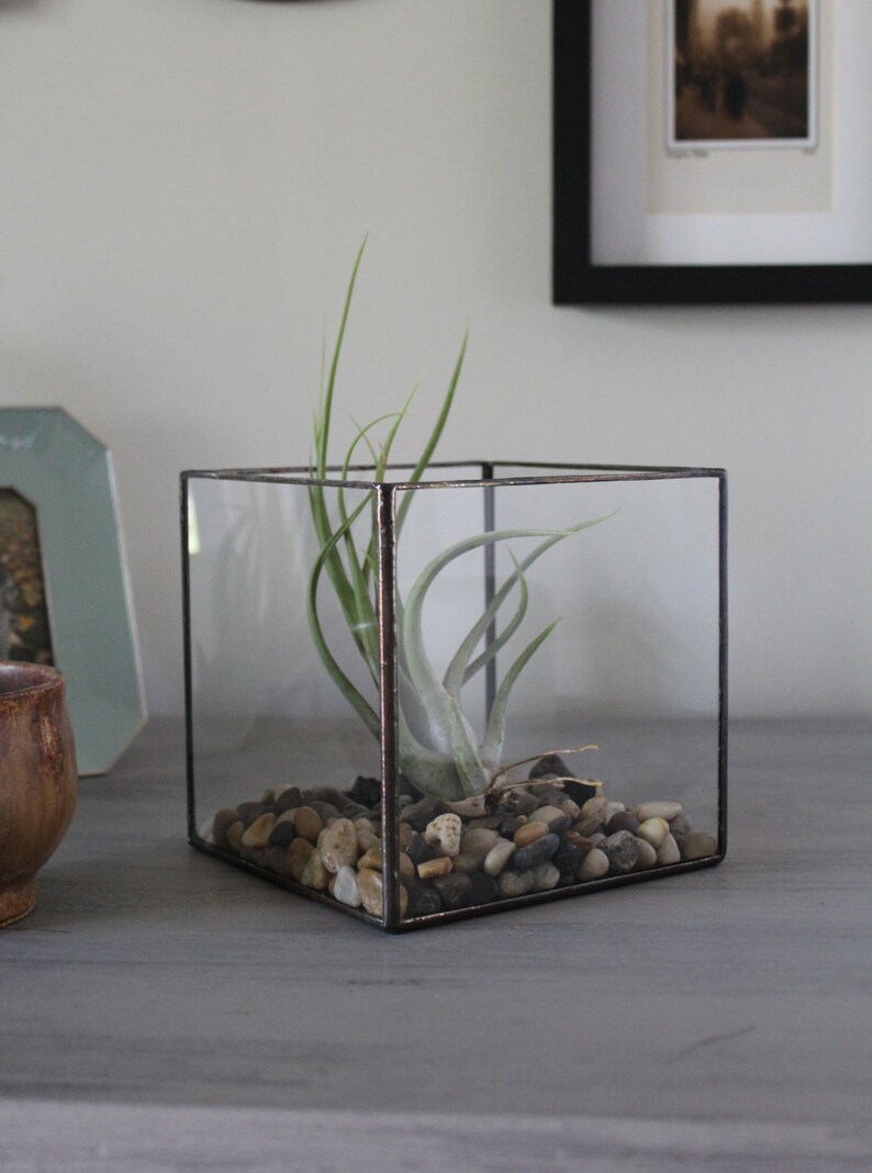 Square Terrarium Large Glass Cube Candle Holder Home Decor Etsy