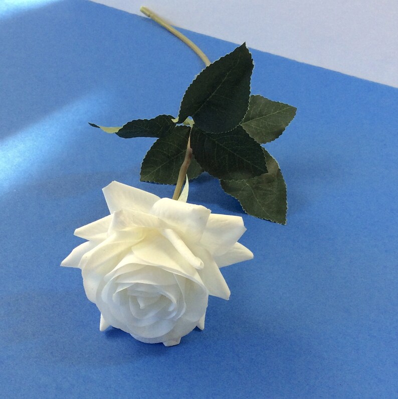 6 Real Touch Roses Solid White Etsy