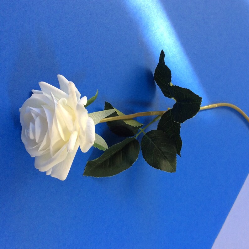 6 Real Touch Roses Solid White Etsy