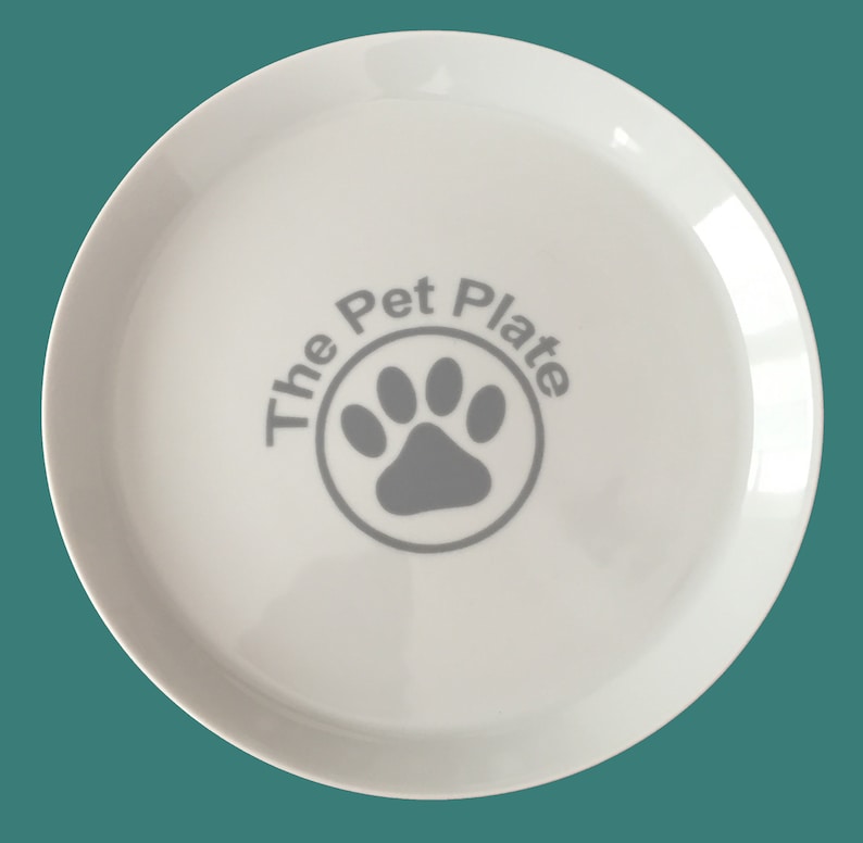 The Pet Plate Flat Feeding Plate for Finicky Pets image 1