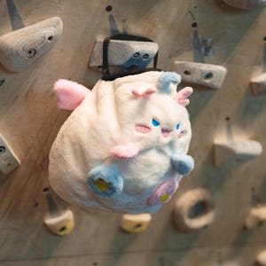 Cubo de tiza de monstruo pastel para boulder, regalo para amantes de la escalada, bolsa de tiza de felpa, bolsa de boulder única y peculiar