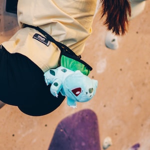 Bulbasaur Plush Chalk Bag: Handmade Climbing Gift