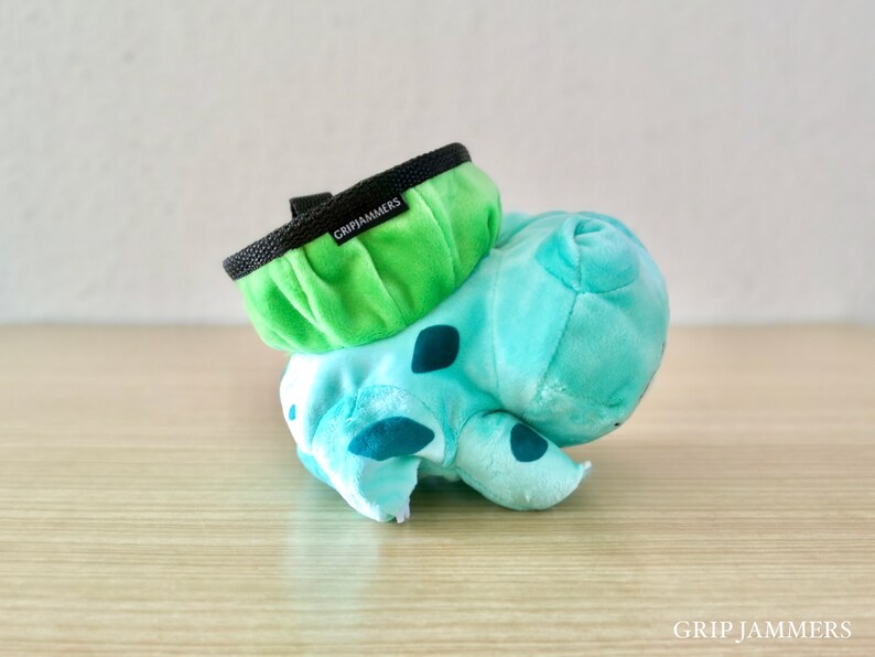 Bulbasaur Chalk Bag Etsy