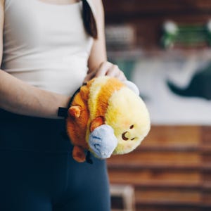 Tia The Bee Chalk Bag, Rock Climbing Gift for Climbers