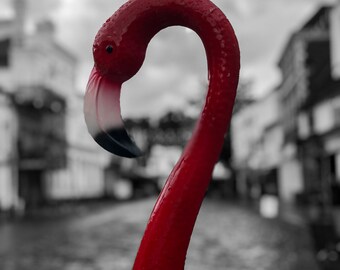Flamant rose sur Court Street, Market Square, Faversham 2024. Impression photographique de qualité archive (sans cadre)