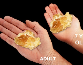 AMBER CALCITE 2&quot; 2-3 Oz Crystal Large Raw Rocks and Minerals Sacral Chakra Crystals and Stones Natural Specimen xx