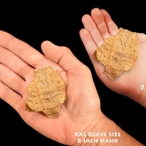 May include: Two hands holding a large, irregularly shaped piece of gold. The hand on the left is an adult hand, wearing an XXL glove size, and the hand on the right is a child's hand, approximately 7 years old.  The gold is a bright, shiny yellow color.