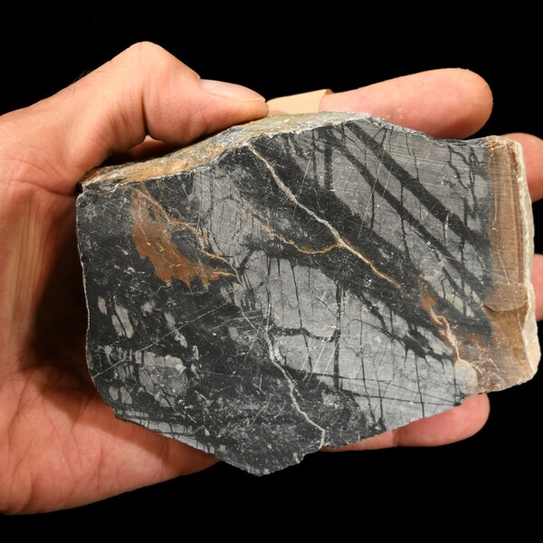 MÁRMOL PICASSO 5" x 3 1/2" 1 libra 7 Oz (Sku 10) Lapidario áspero crudo Cabbing Rock Mineral Chakra Healing Crystal Stone Natural Specimen
