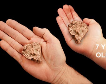 Pure Copper Nugget 2 1/2" 4-6 Oz Large Native Copper Raw Rocks and Minerals Root Chakra Healing Crystals Stones Natural Specimen Reiki xx