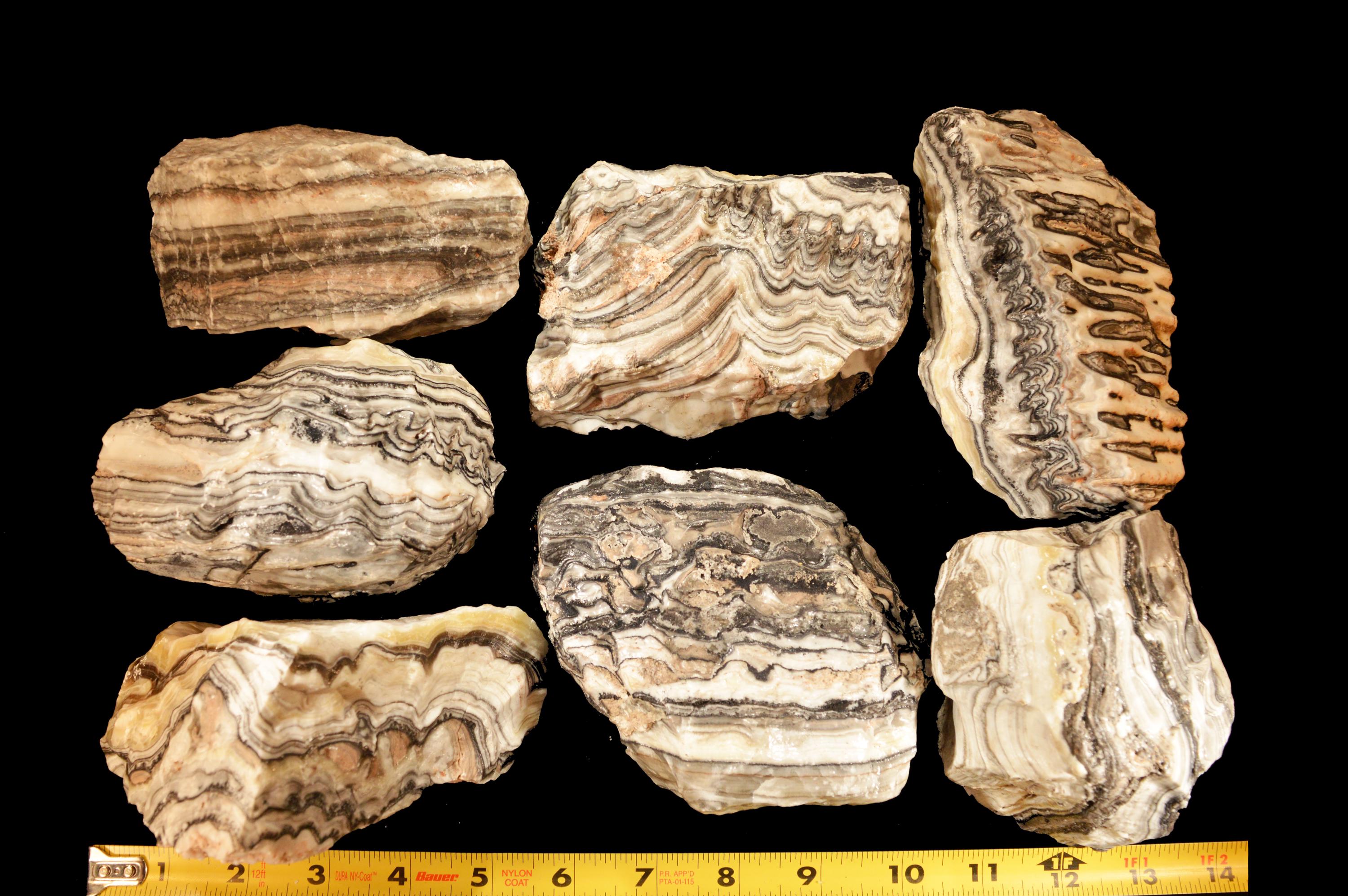 ZEBRA ONYX 4