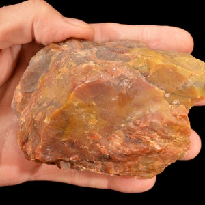 RAINBOW PETRIFIED WOOD 4 1/2&quot; x 3&quot; 1 Lb 4 Oz (Sku 11) Lapidary Rough DoBell Ranch Rock Mineral Specimen Raw Root Chakra Crystal