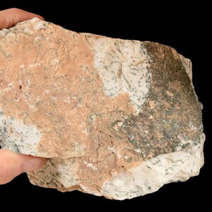 May include: A close-up of a light brown and green rock with a rough texture. The rock has a white, grey, and green marbling pattern.