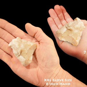 May include: Two hands holding a large, white, opaque, rough-textured rock. The hand on the left is an adult hand with an 8 inch circumference. The hand on the right is a child's hand, 7 years old.  The text "XXL Glove Size 8 Inch Hand" is below the adult hand. The text "7 Year Old" is below the child's hand.