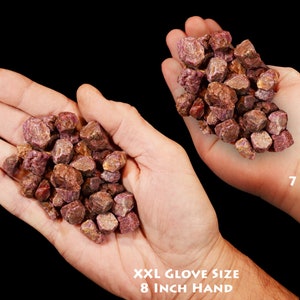 May include: Two hands holding a pile of pink ruby rough stones. The hand on the left is an adult hand wearing an XXL glove size, and the hand on the right is a child's hand, 7 years old.
