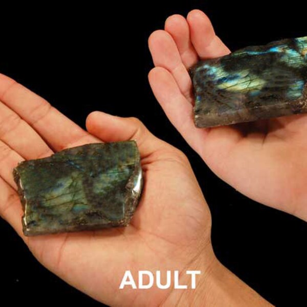 LABRADORITE Polished Slice 2 1/2" HIGH Grade Flash All Chakras Rocks Mineral Specimen Healing Crystals Chakra Stones Reiki Gemstone xx