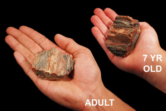 AGATE GEODE Teal 2 4-7 Oz Large Polished Rocks Minerals Geodes