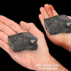 May include: Two hands holding a dark gray rock. The rock in the left hand is being held by an adult with an 8 inch hand, and the rock in the right hand is being held by a 7 year old child.