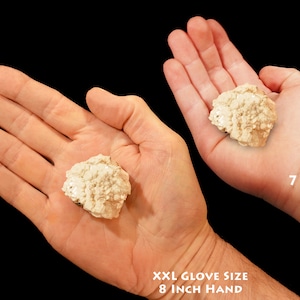 May include: Two hands holding a large, white, rough-textured rock. The hand on the left is an adult hand wearing an XXL glove size, and the hand on the right is a child's hand, 7 years old. The text "7 YEAR OLD" and "XXL GLOVE SIZE 8 INCH HAND" is visible in the image.