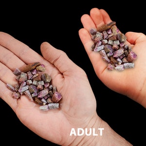 May include: Two hands, one adult and one of a 7-year-old child, hold a pile of pink and red ruby rough stones.