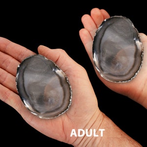 May include: Two hands, one adult and one of a 7 year old, holding a gray and white agate slice. The agate slice is smooth and polished.